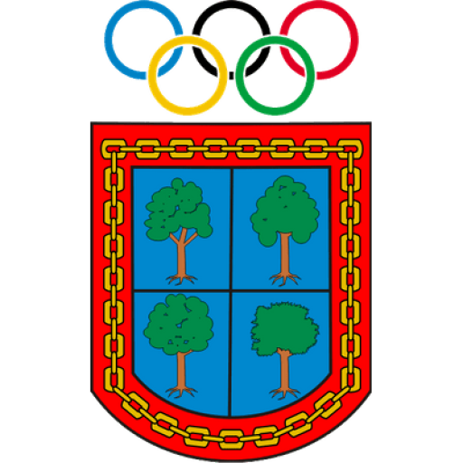como se tornar um jogador de futebol